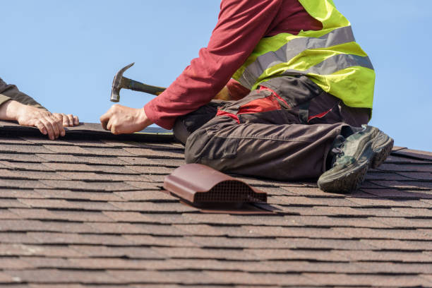 Roof Gutter Cleaning in Wilmington Island, GA