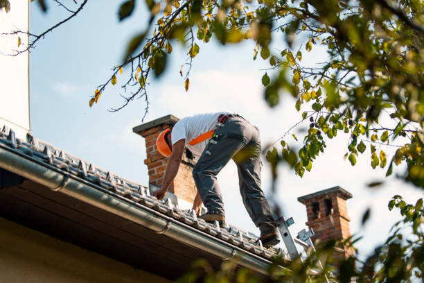 Best Flat Roof Repair Services  in Wilmington Island, GA