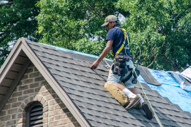 Best Gutter Installation and Roofing  in Wilmington Island, GA